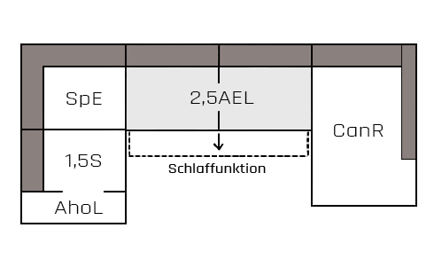 Ariella_AhoL1-5S-SpE-2-5AEL-CanR_SV_kf