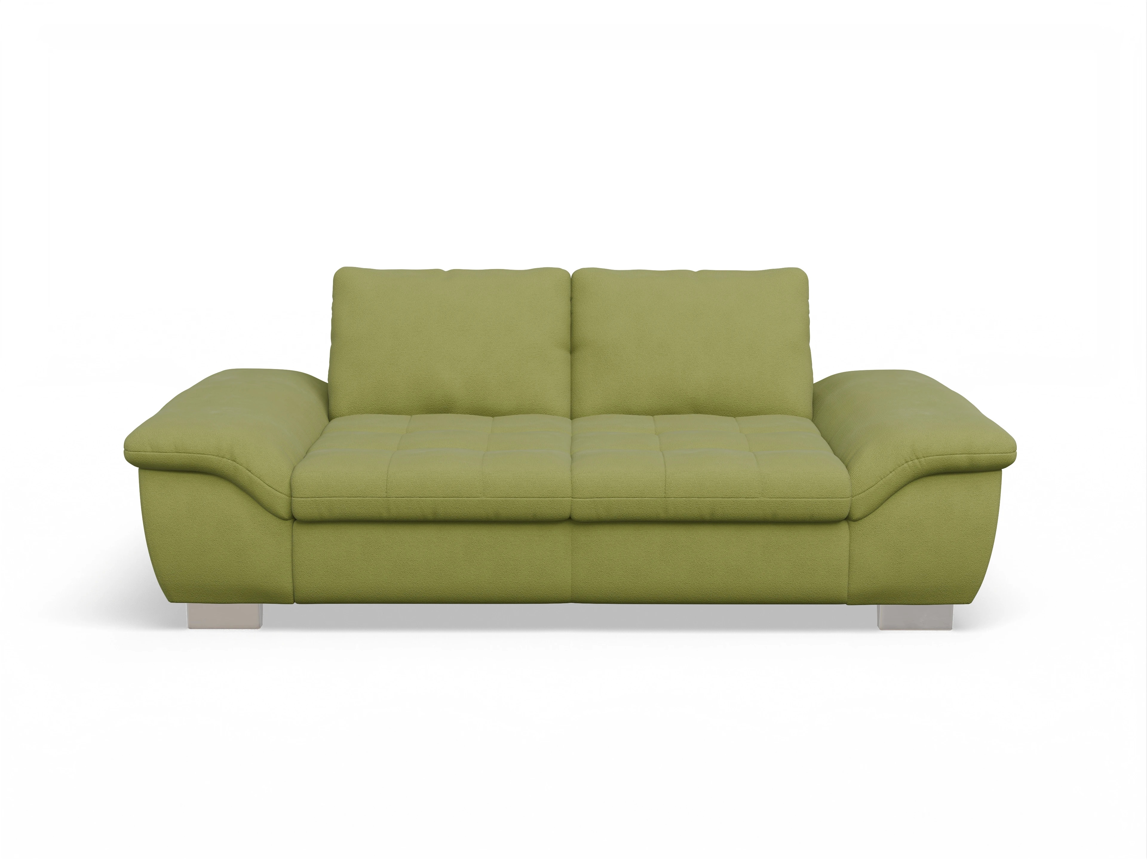 Ansicht des Produktes SC Smart 1007 2,5-Sitzer Sofa in Stoff Grün