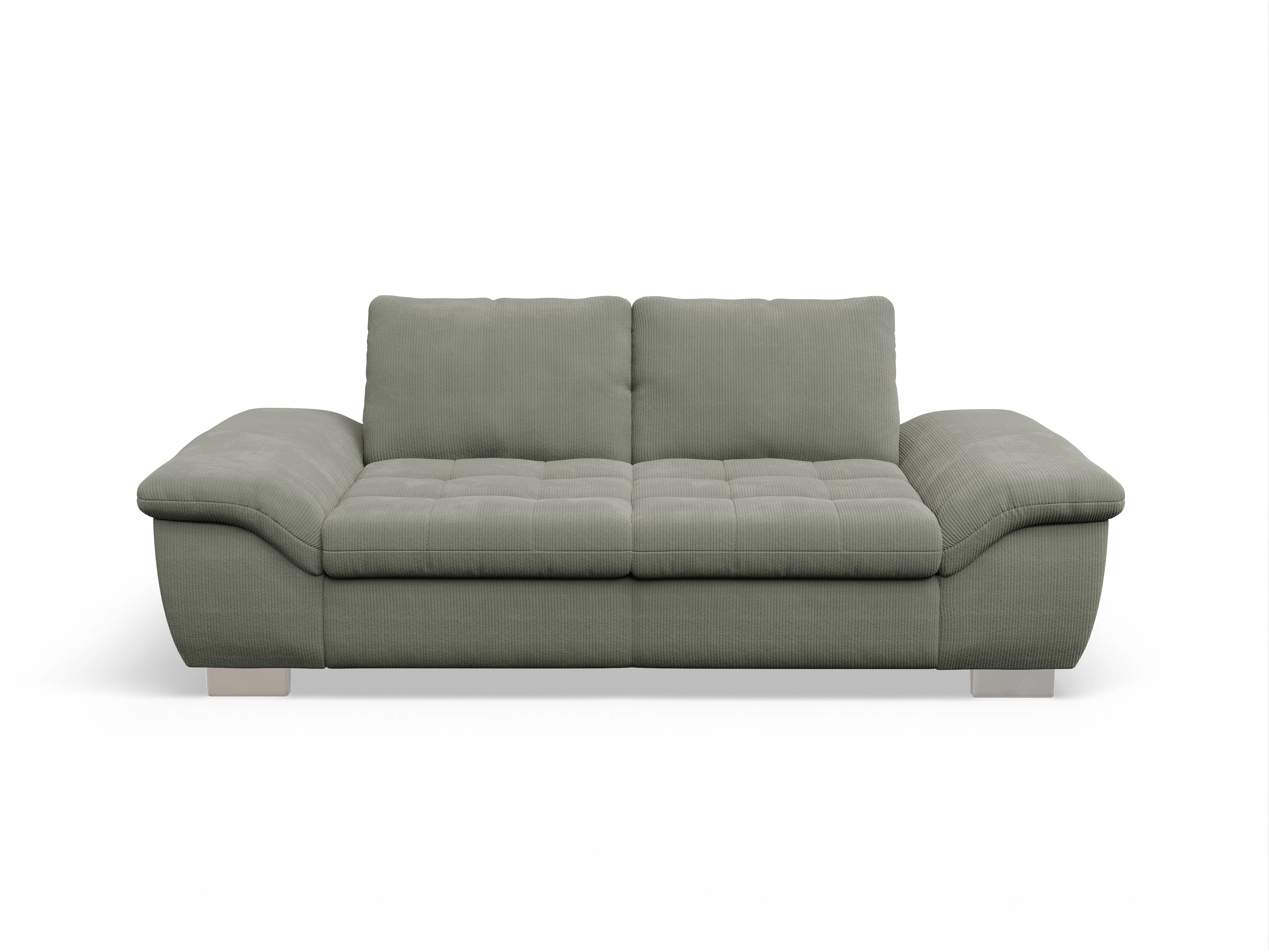 Ansicht des Produktes SC Smart 1007 2,5-Sitzer Sofa in Stoff Grün