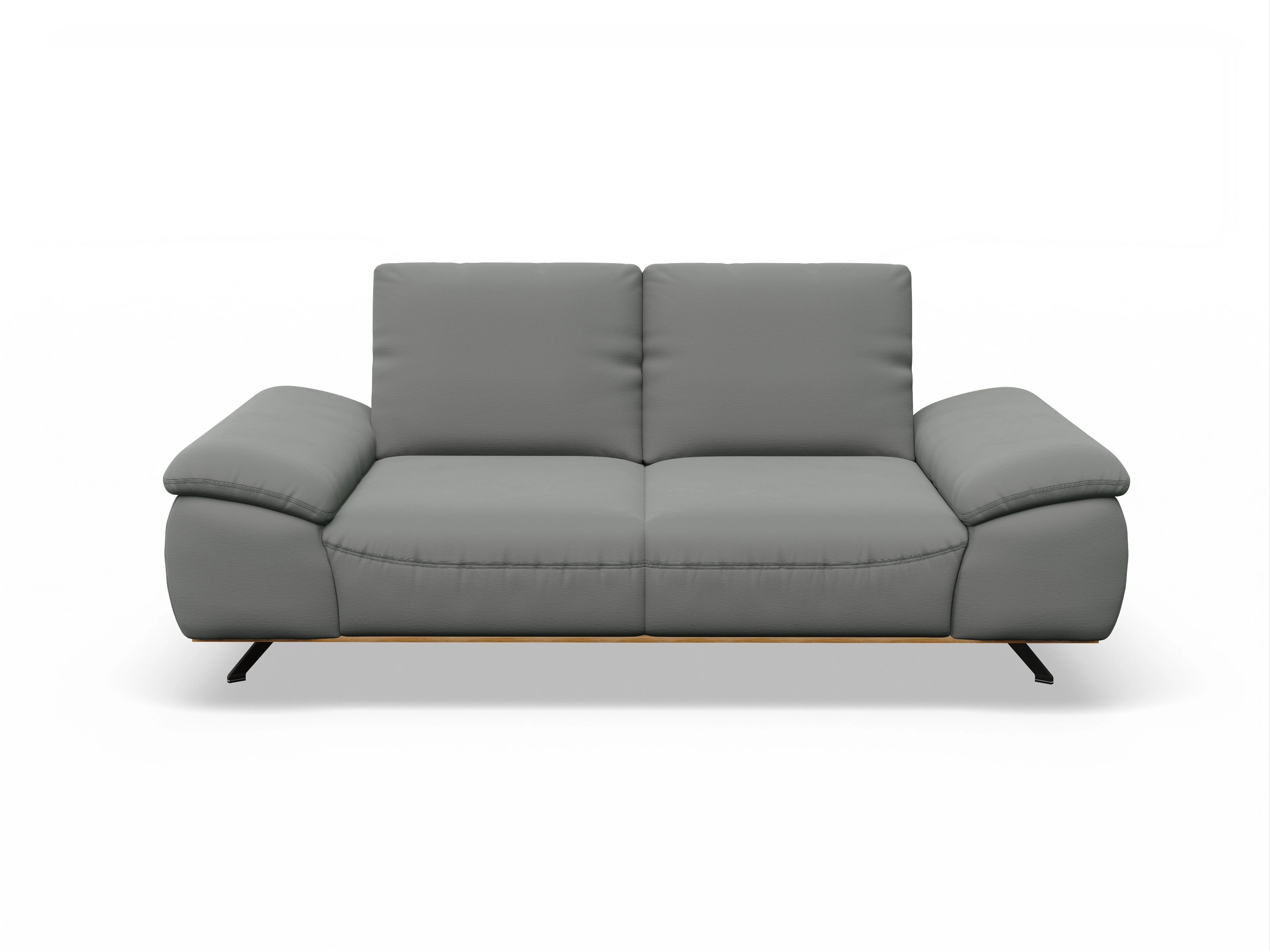 Ansicht des Produktes SC Family 1029 2,5-Sitzer Sofa in Stoff Grau
