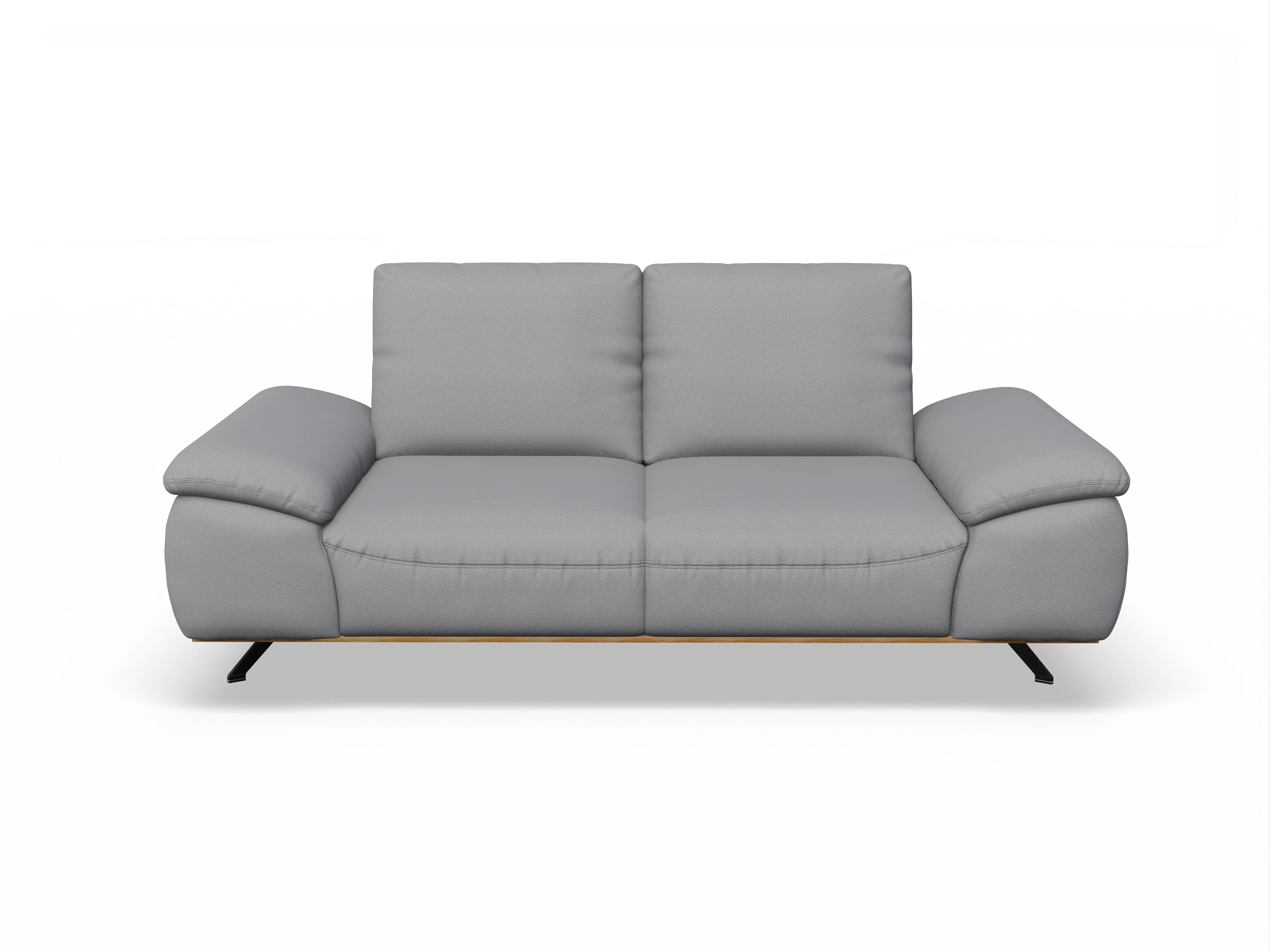 Ansicht des Produktes SC Family 1029 2,5-Sitzer Sofa in Stoff Grau