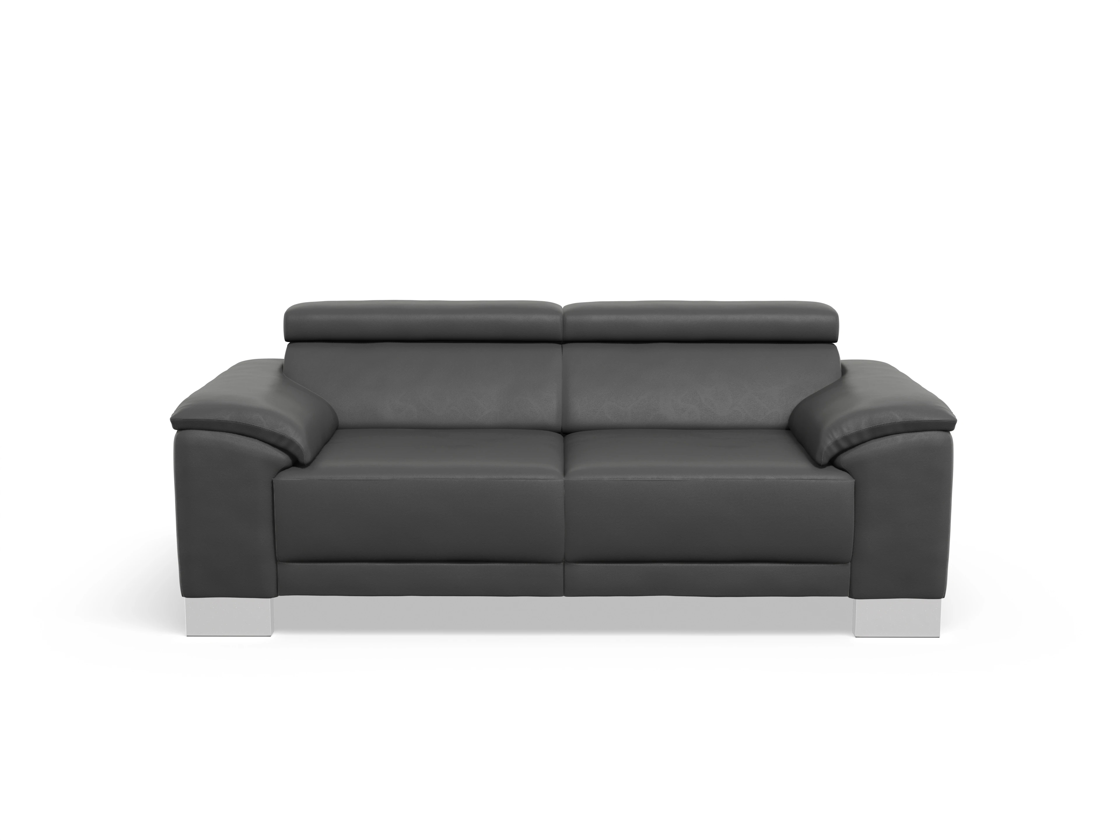 Ansicht des Produktes Antonio 2-Sitzer Sofa in Leder Grau