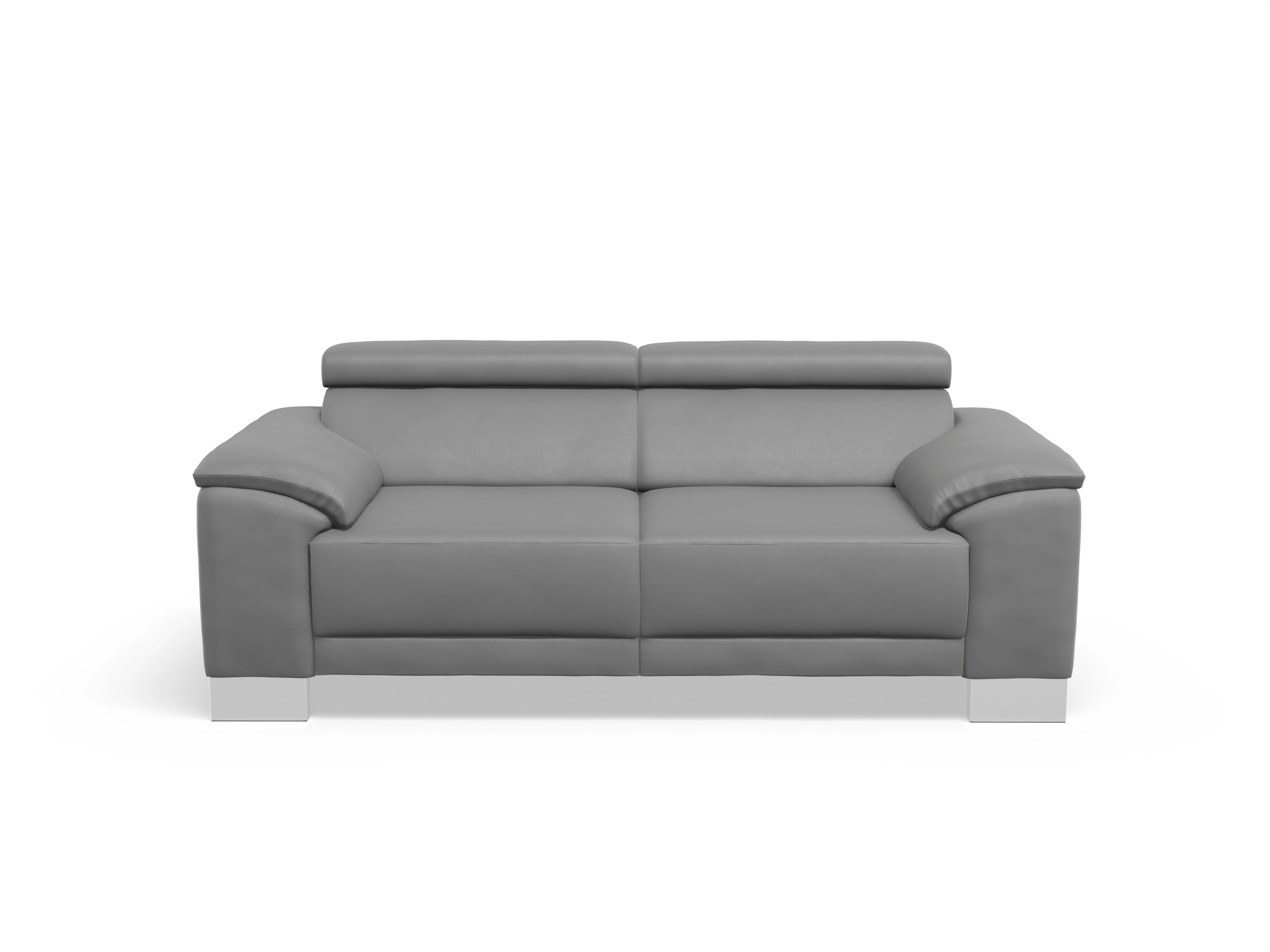 Ansicht des Produktes Antonio 2-Sitzer Sofa in Leder Grau