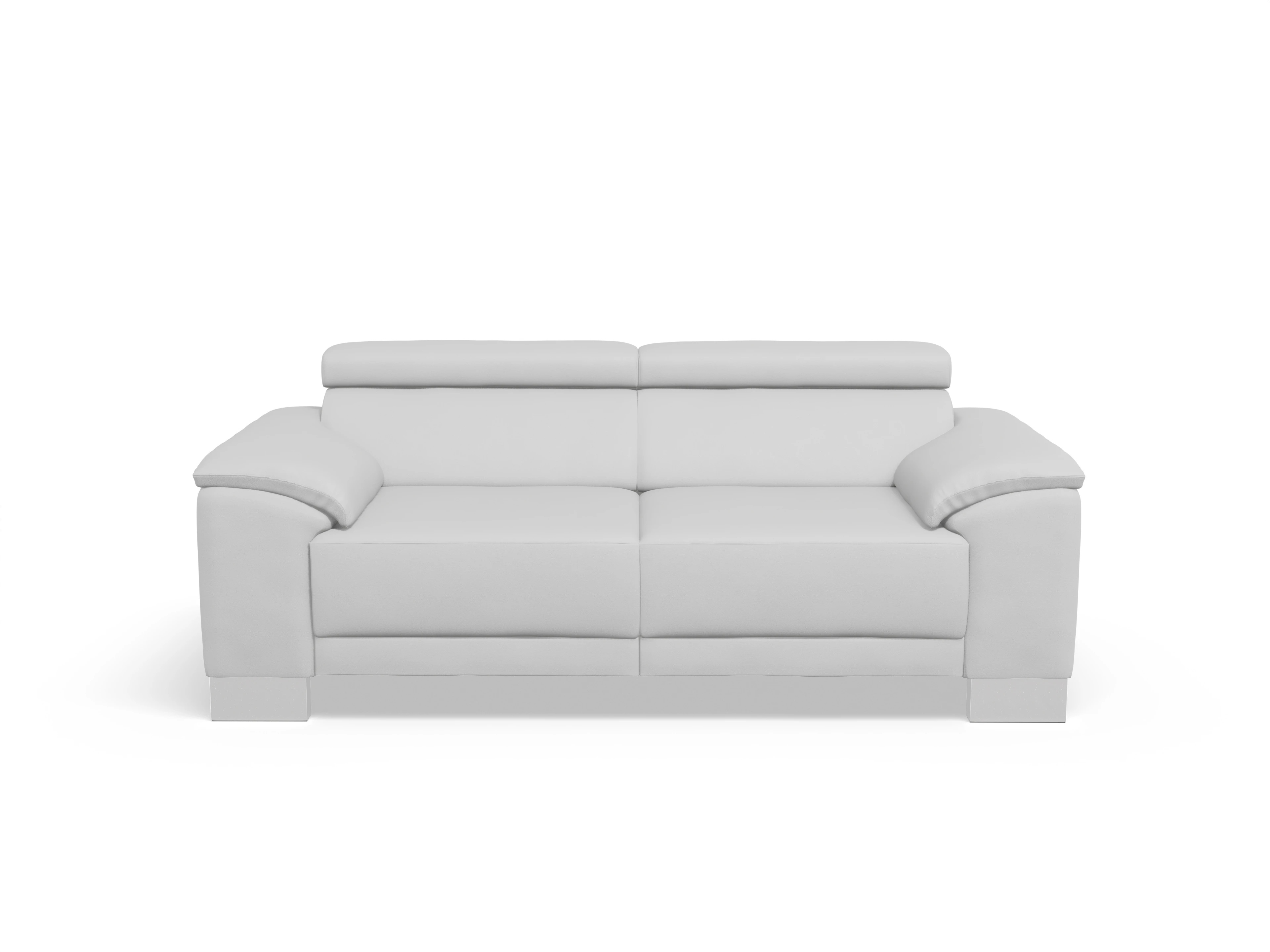 Antonio 2-Sitzer Sofa Ansicht des Produktes Antonio 2-Sitzer Sofa in Leder Grau