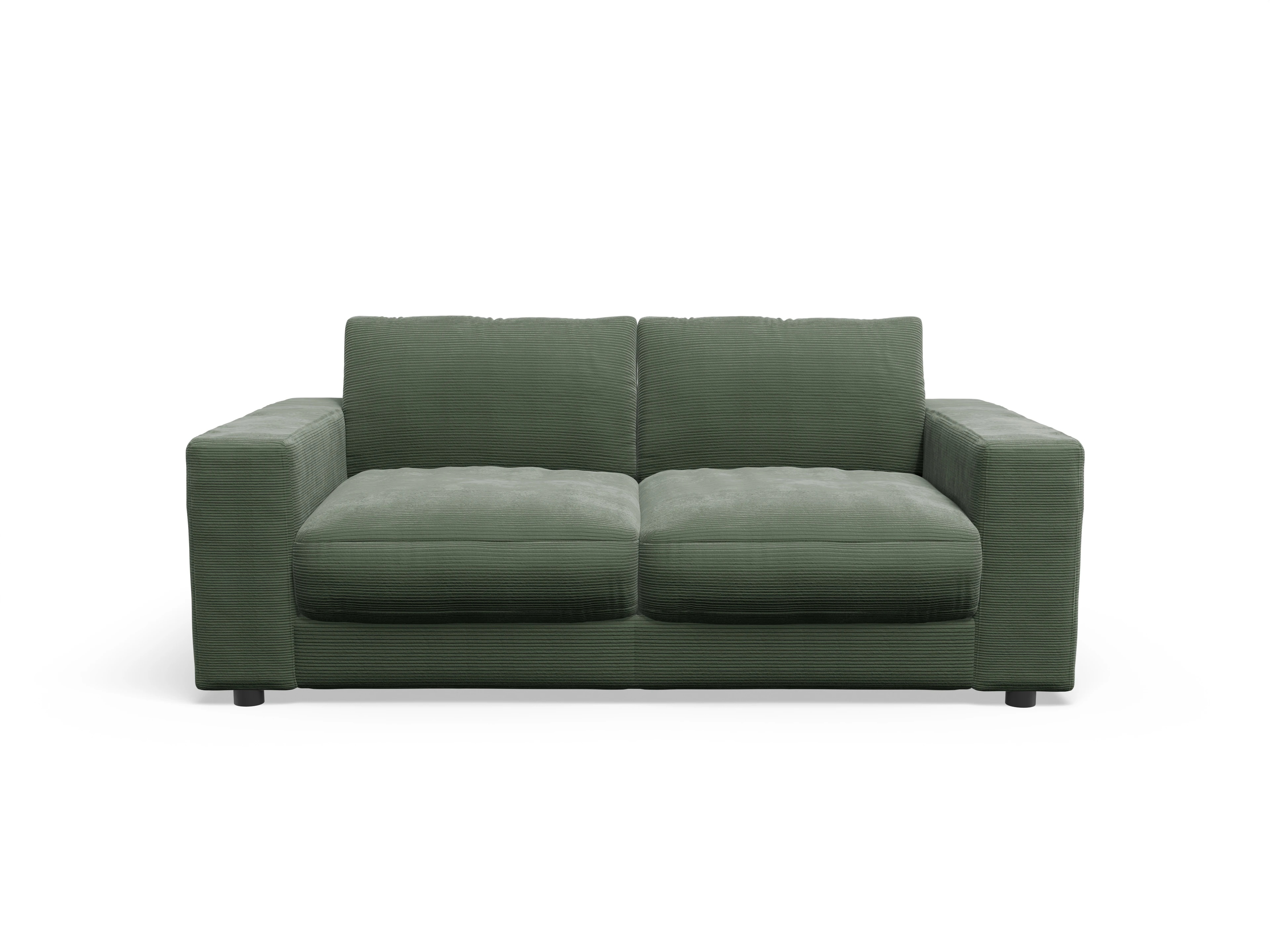 Ansicht des Produktes Mammut Plus 2.0 2-Sitzer Sofa in Stoff Grün
