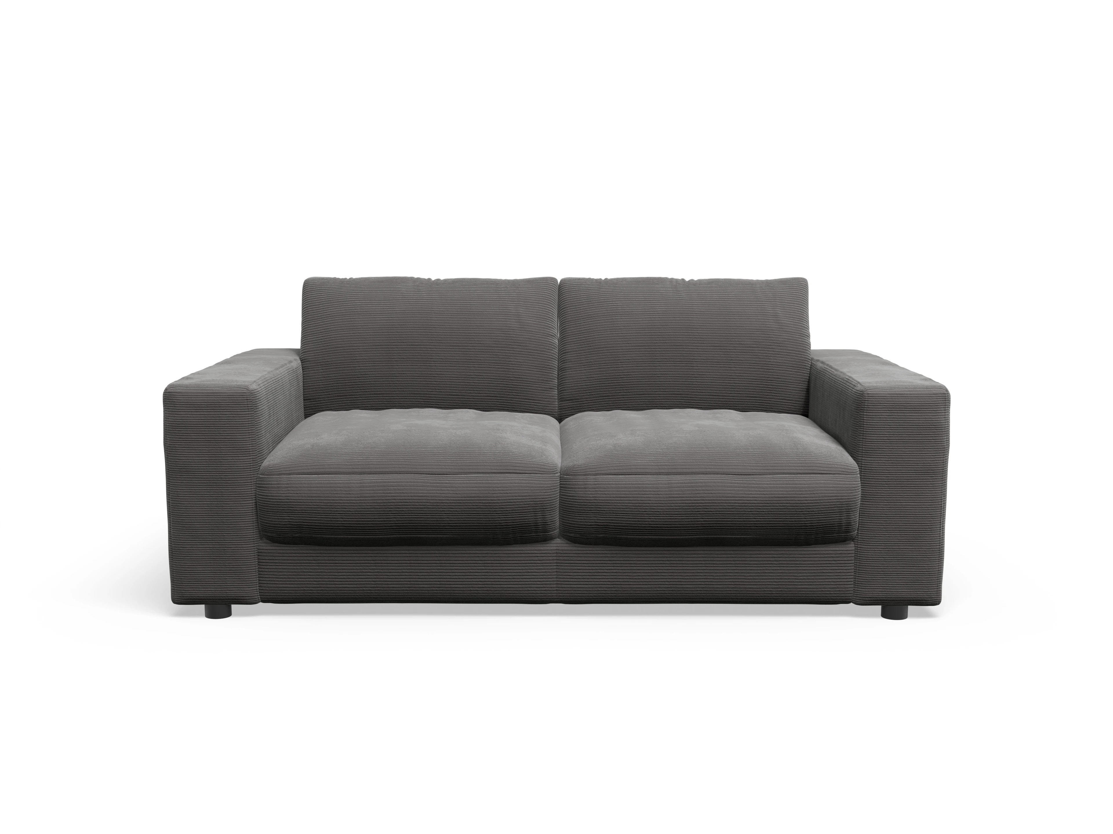 Ansicht des Produktes Mammut Plus 2.0 2-Sitzer Sofa in Stoff Grau