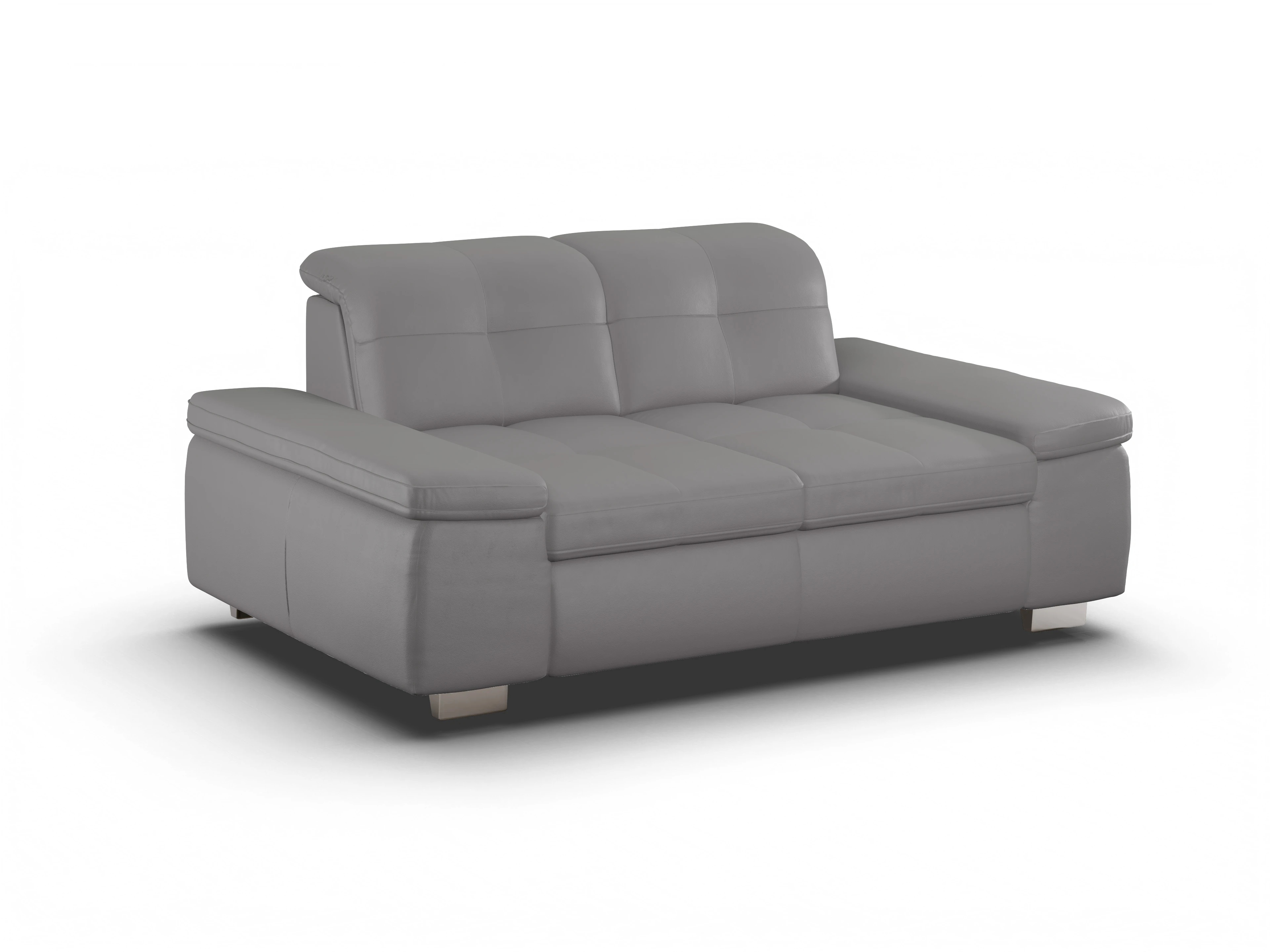 Ansicht des Produktes SC Select 1001 2,5-Sitzer Sofa in Leder Grau