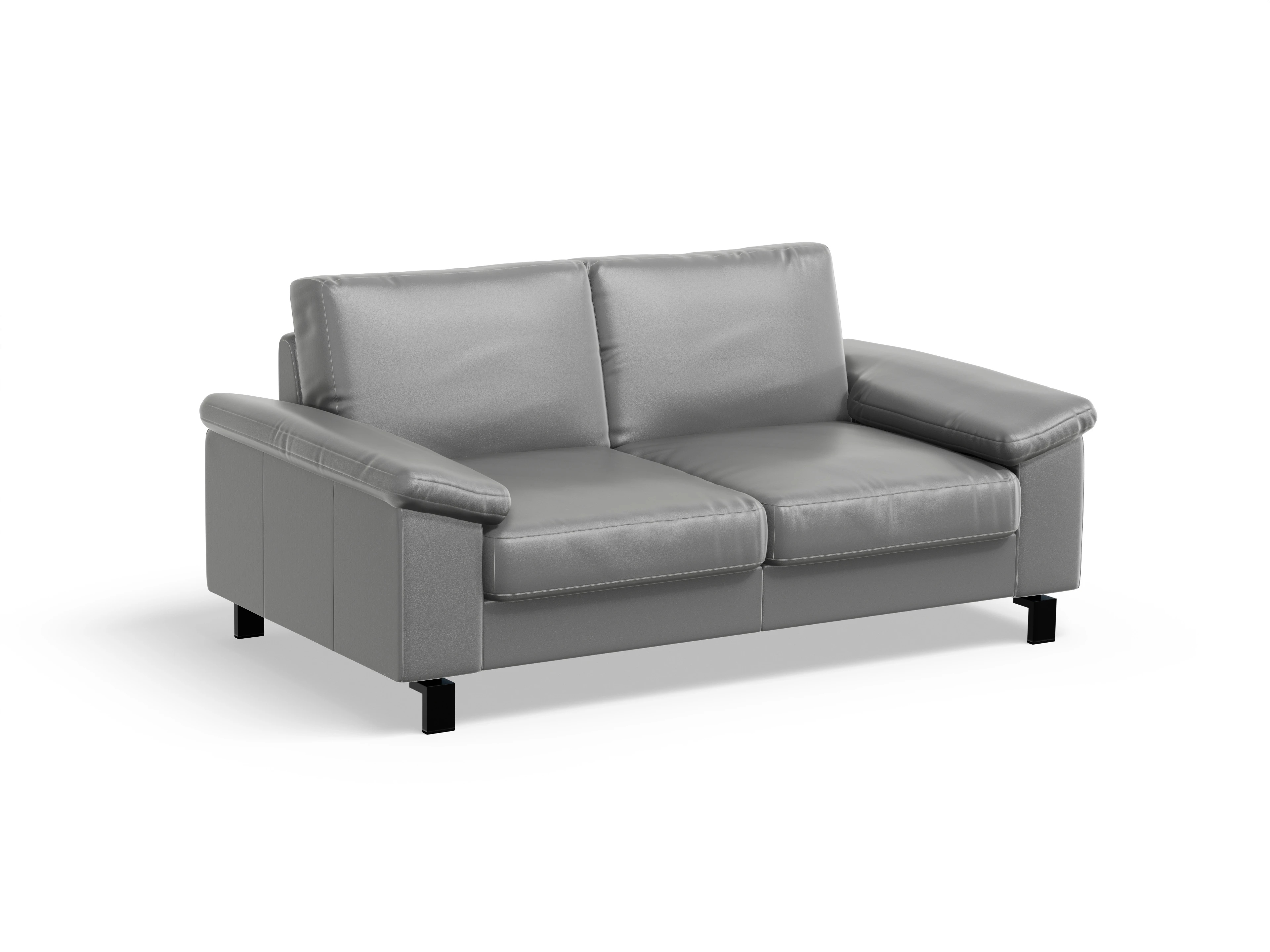 Ansicht des Produktes Casco 2.0 2,5-Sitzer Sofa in Leder Grau