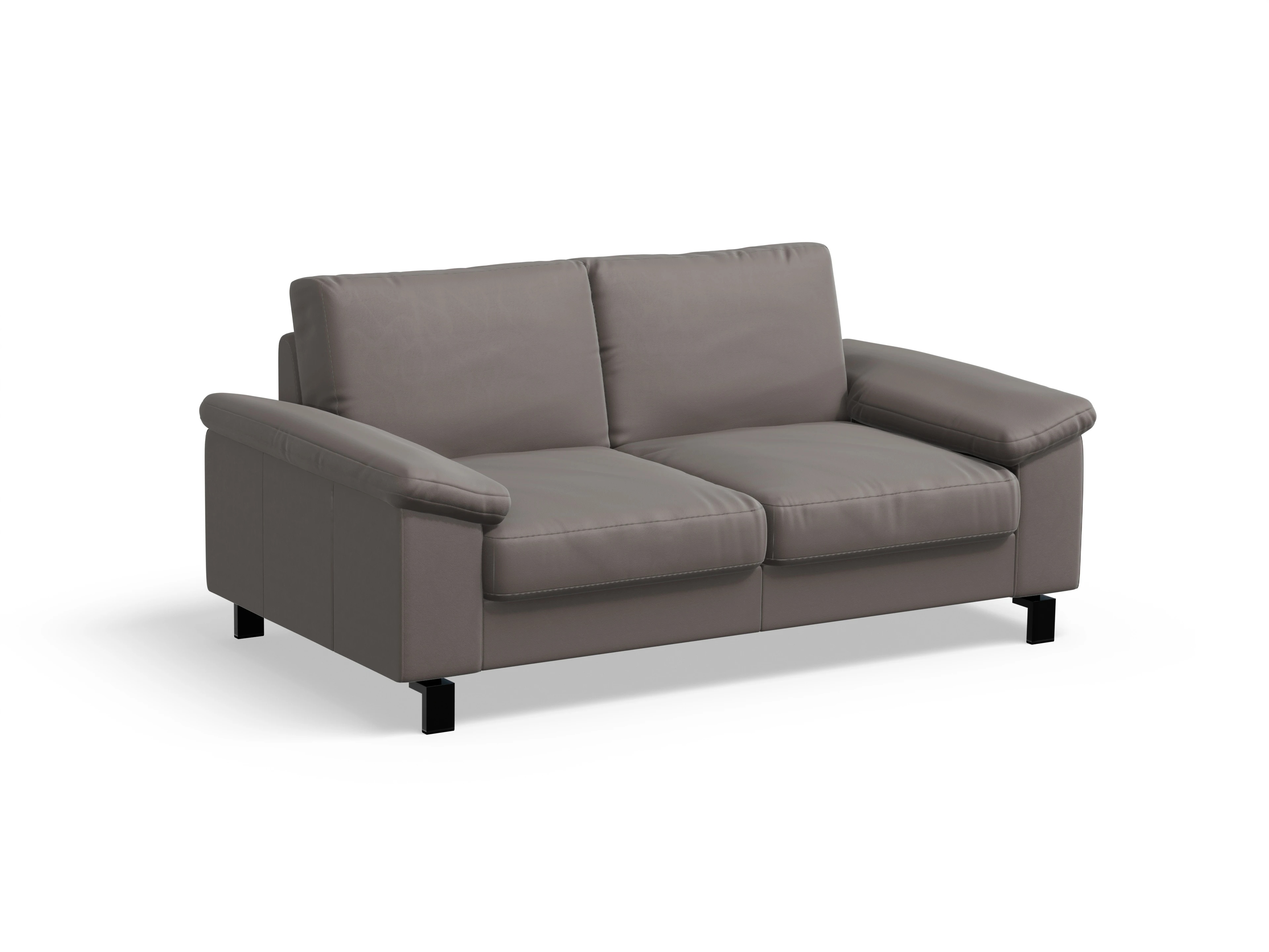 Ansicht des Produktes Casco 2.0 2,5-Sitzer Sofa in Leder Grau
