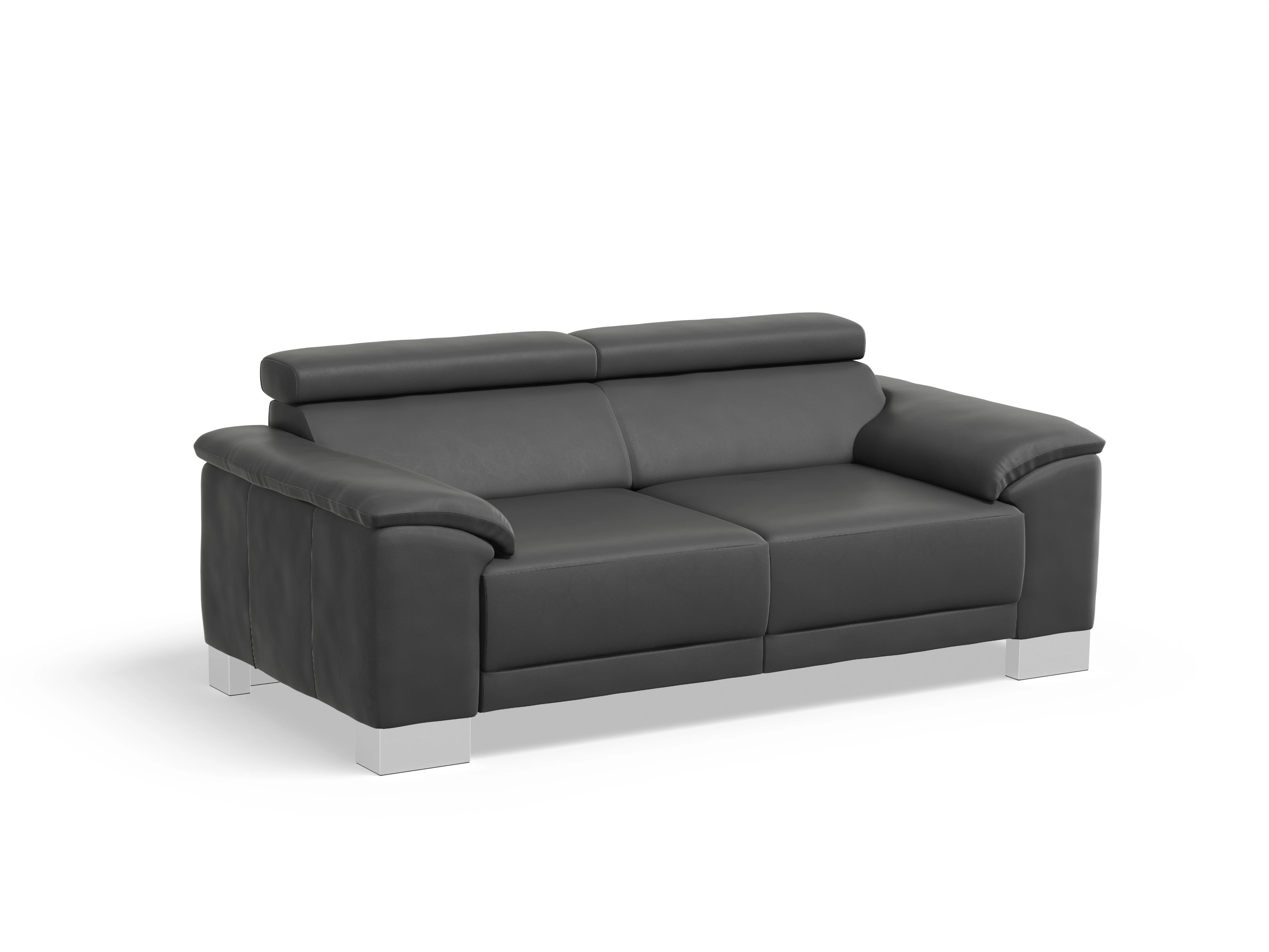 Ansicht des Produktes Antonio 2-Sitzer Sofa in Leder Grau
