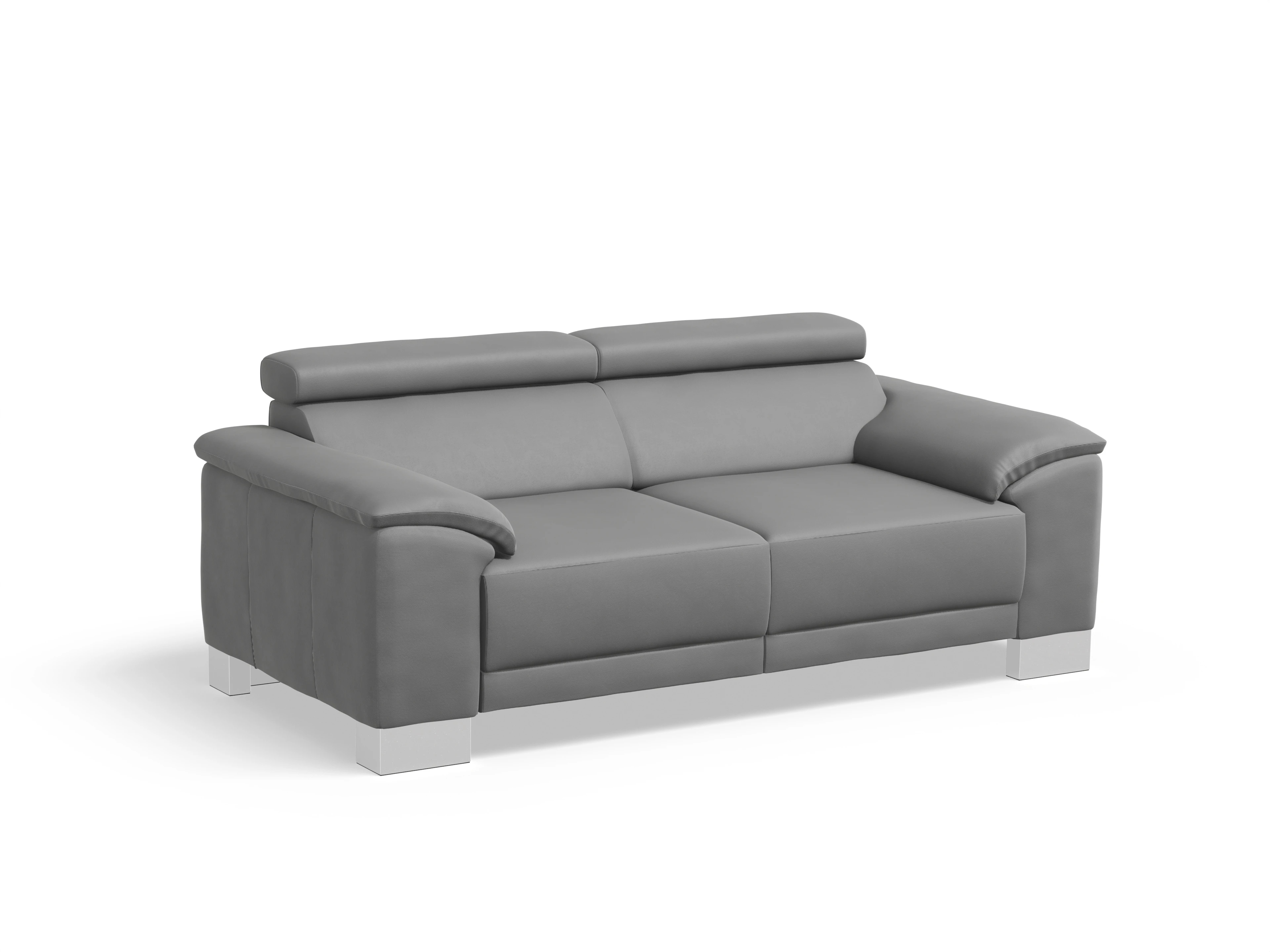 Ansicht des Produktes Antonio 2-Sitzer Sofa in Leder Grau
