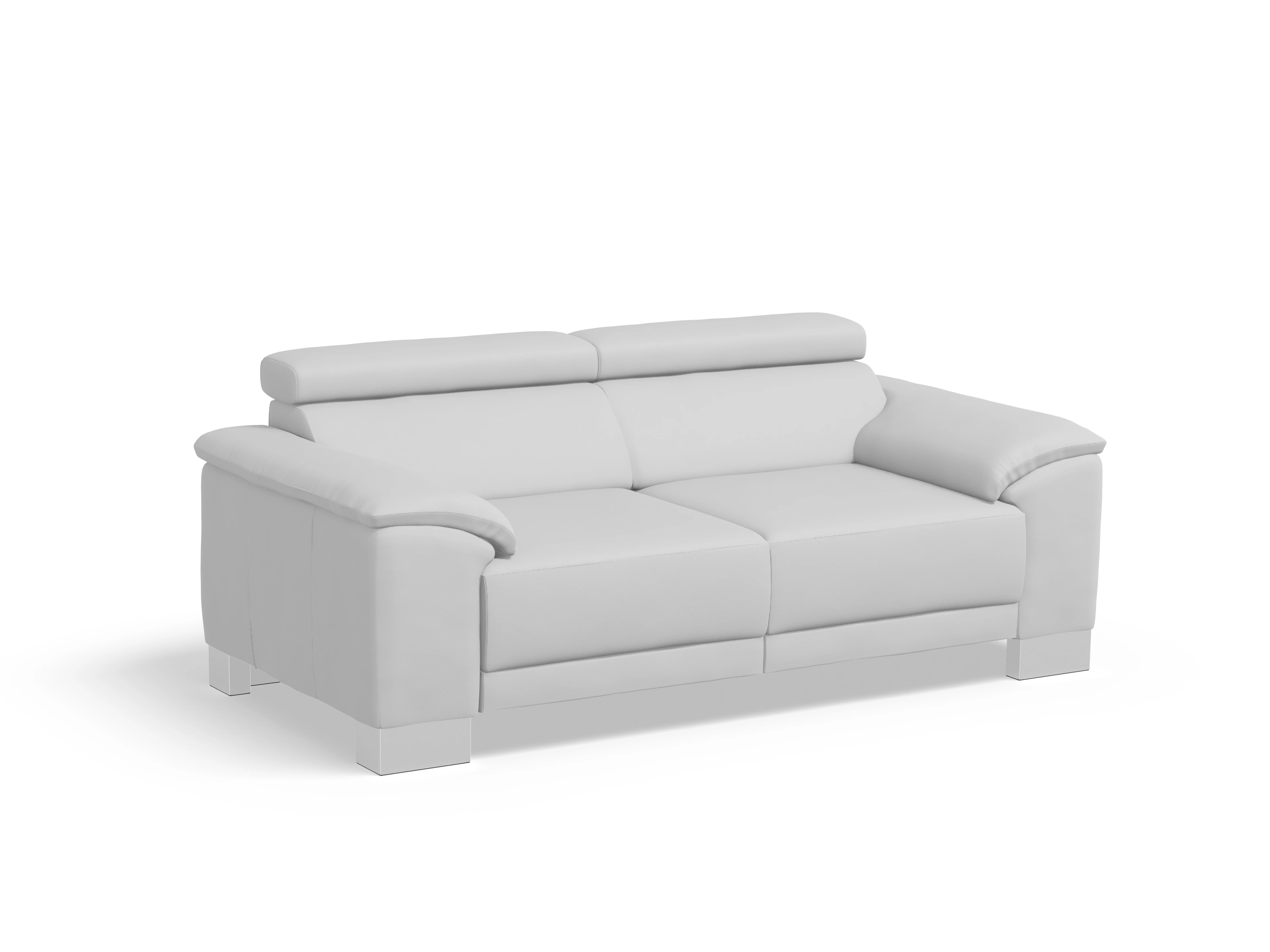 Antonio 2-Sitzer Sofa Ansicht des Produktes Antonio 2-Sitzer Sofa in Leder Grau